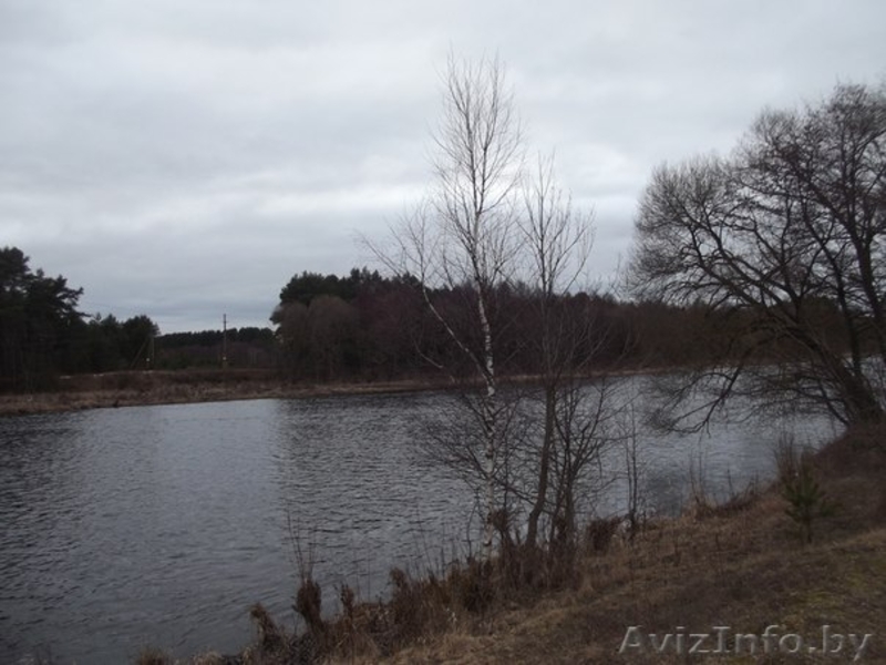 продам дачу под Сморгонью в садовом товариществе "Завилье" - Изображение #8, Объявление #1397385