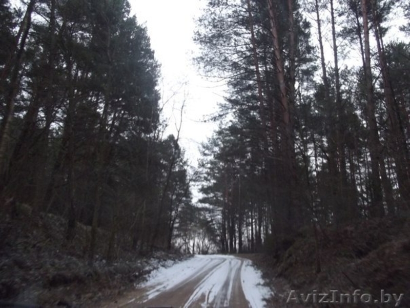 продам дачу под Сморгонью в садовом товариществе "Завилье" - Изображение #9, Объявление #1397385