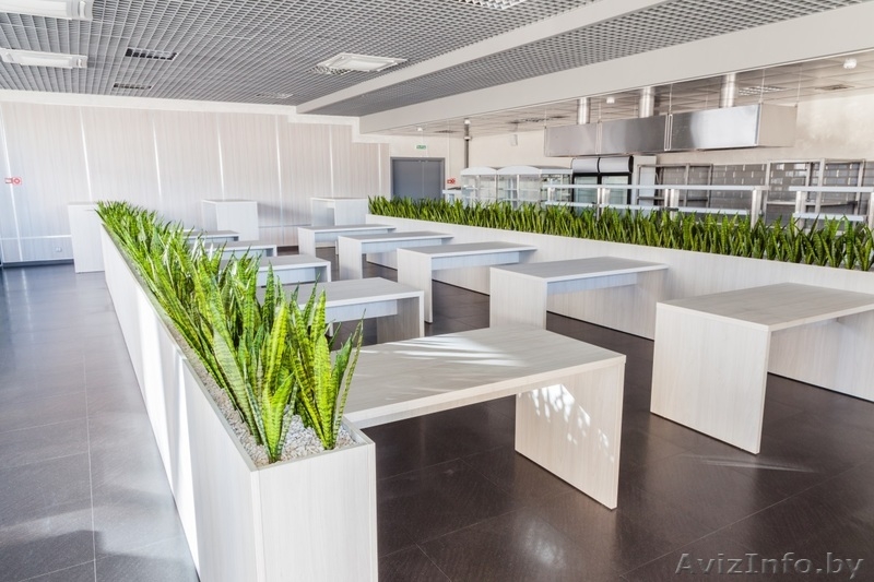 Мебель по индивидуальным заказам, кухни на заказ - Изображение #5, Объявление #1402399