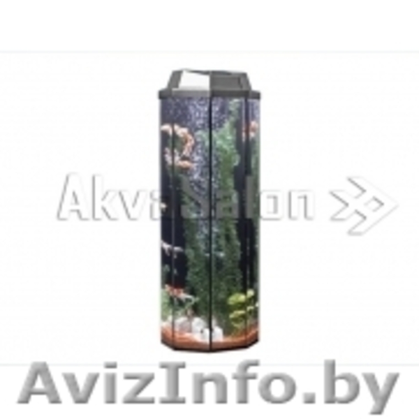 Аквариум Aqua "Гайка" 24 литра - Изображение #3, Объявление #1425273