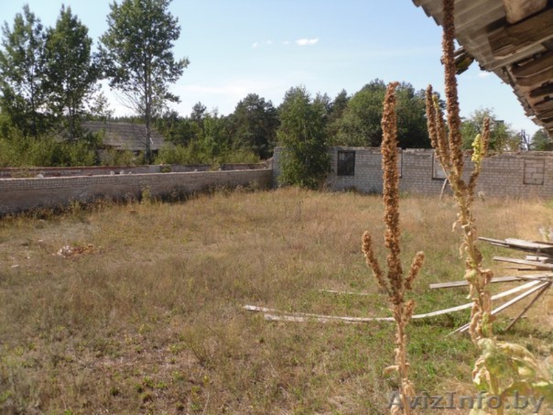 Перспективный участок в Негоничах 4,3 Га (89 км от Минска) - Изображение #10, Объявление #1432492