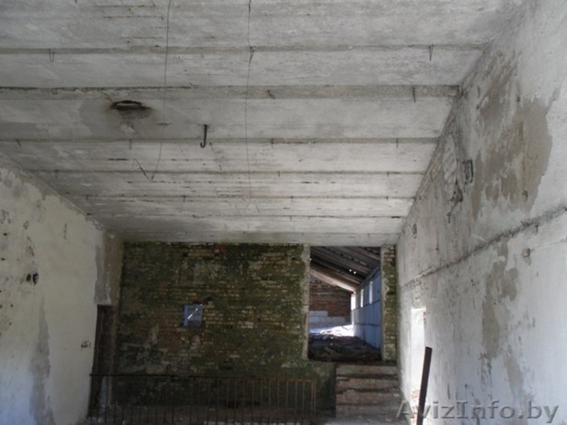 Перспективный участок в Негоничах 4,3 Га (89 км от Минска) - Изображение #14, Объявление #1432492