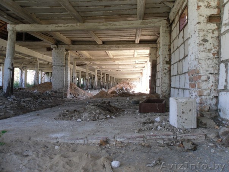 Перспективный участок в Негоничах 4,3 Га (89 км от Минска) - Изображение #9, Объявление #1432492