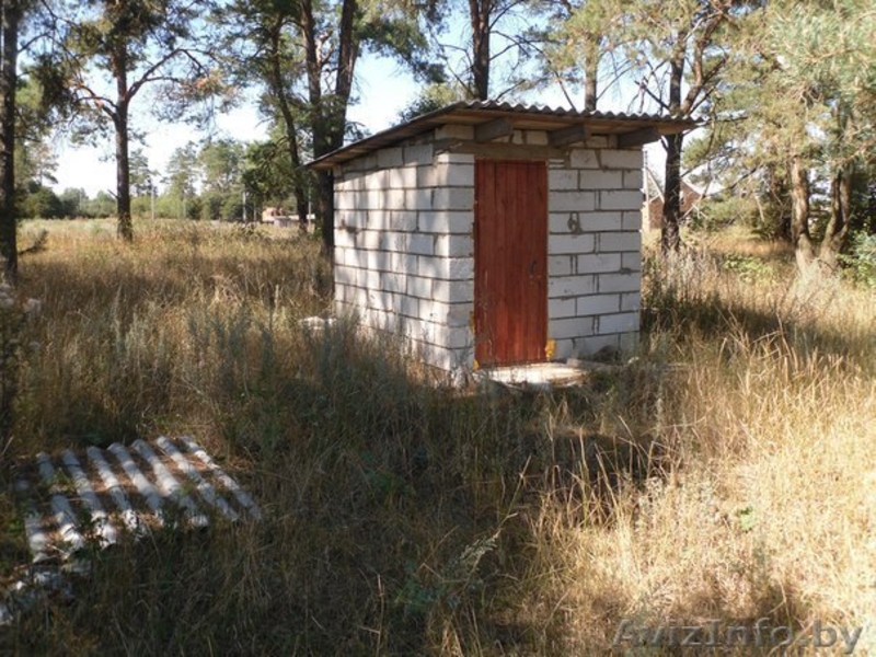 Перспективный участок в Негоничах 4,3 Га (89 км от Минска) - Изображение #11, Объявление #1432492