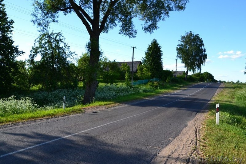 Деревянный дом около г. Лепель - Изображение #5, Объявление #1432611