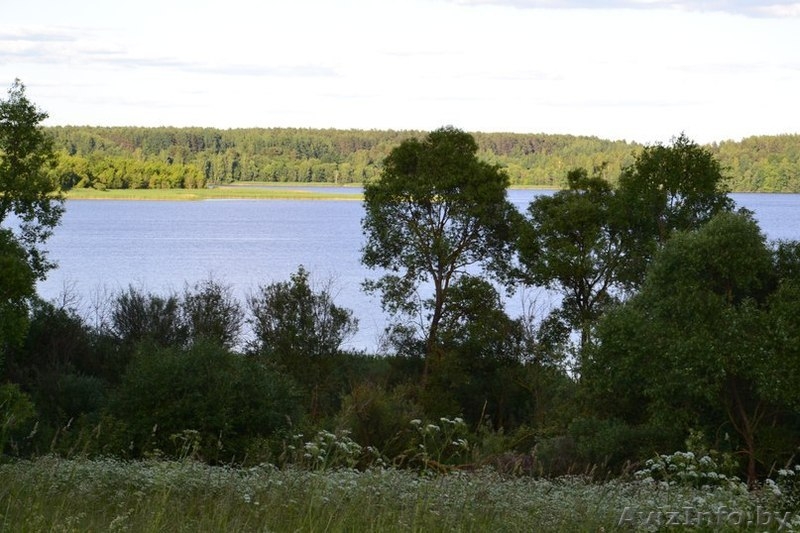 Деревянный дом около г. Лепель - Изображение #10, Объявление #1432611