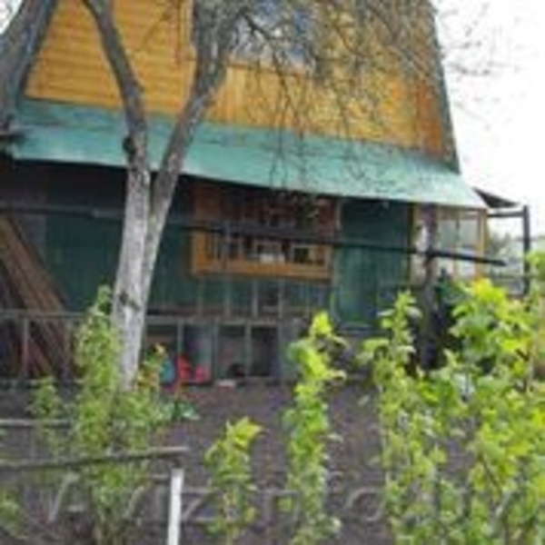 Продам дачу 45 км от Минска, возле Жодино - Изображение #3, Объявление #1439123