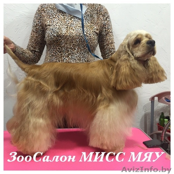 Услуги по уходу за вашими питомцами - Изображение #5, Объявление #1442873