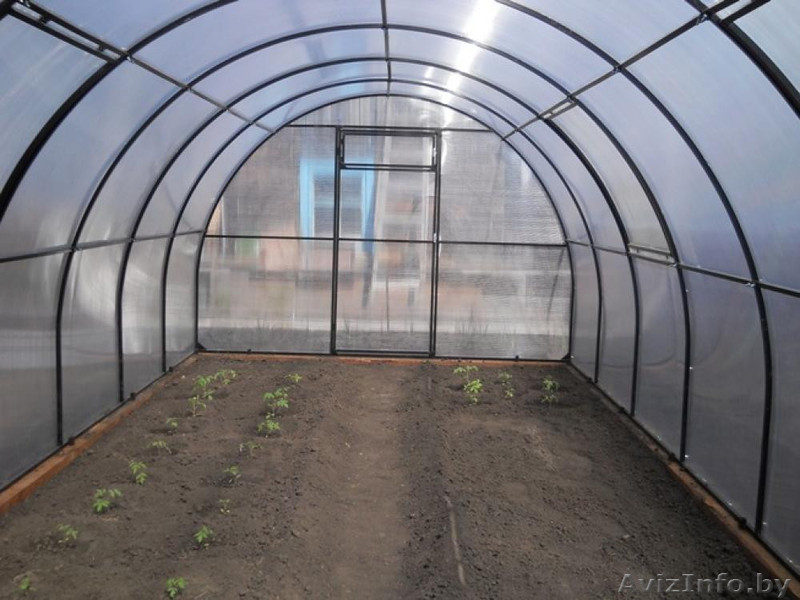 Теплица из поликарбоната - Изображение #3, Объявление #1448325