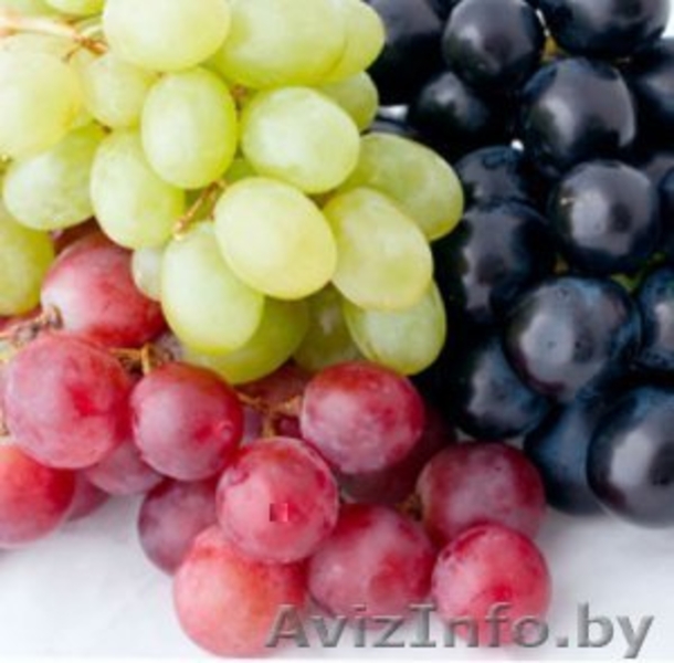 Фрукты, овощи, сухофрукты из Узбекистана. - Изображение #3, Объявление #1451837