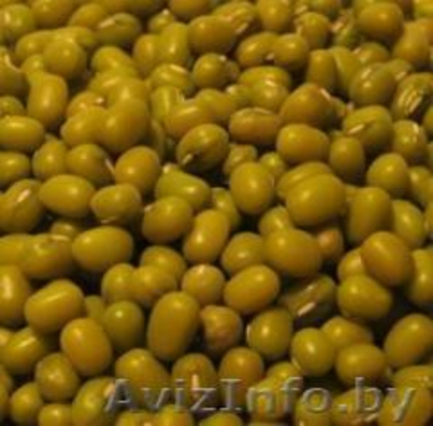 Фрукты, овощи, сухофрукты из Узбекистана. - Изображение #5, Объявление #1451837