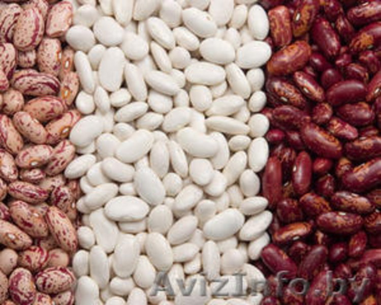 Фрукты, овощи, сухофрукты из Узбекистана. - Изображение #7, Объявление #1451837