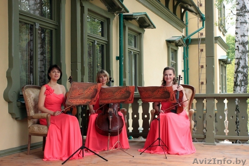 Струнное трио: 2 скрипки и виолончель. - Изображение #3, Объявление #1452504