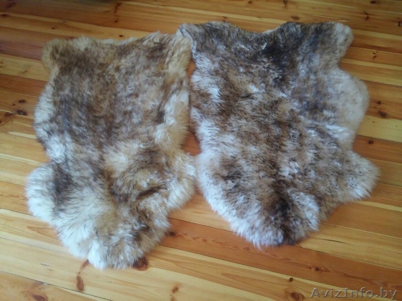 Ковер из шкуры натуральный - Изображение #5, Объявление #1451285