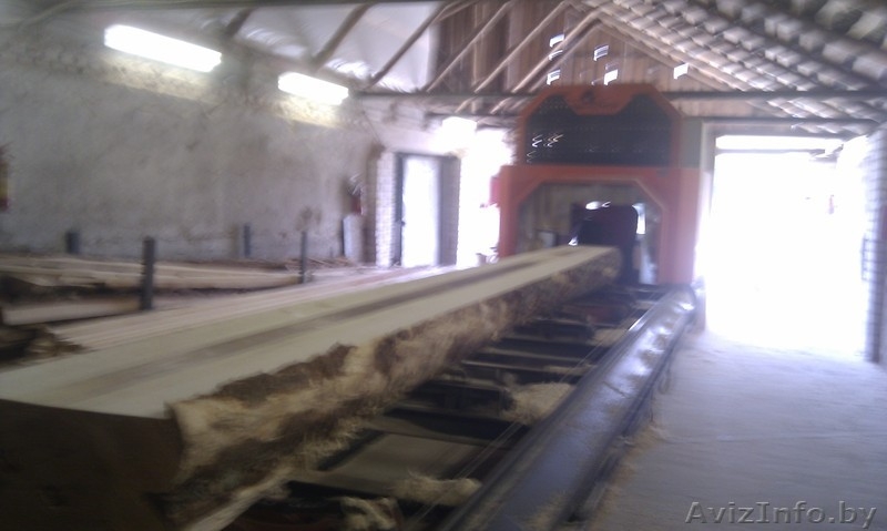 готовый бизнес по распиловке древесины - Изображение #2, Объявление #1468225