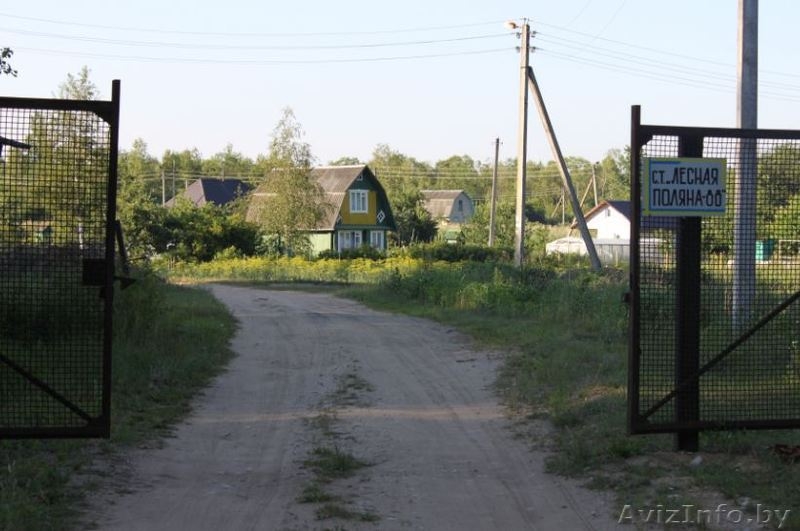 Участки в садовом товариществе рядом с Жодино и М1 - Изображение #3, Объявление #1476637