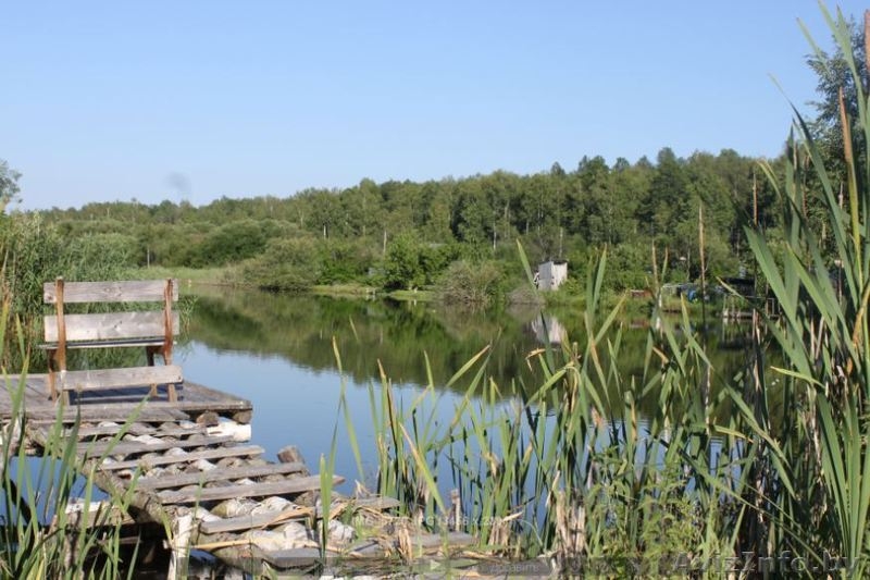 Участки в садовом товариществе рядом с Жодино и М1 - Изображение #4, Объявление #1476637