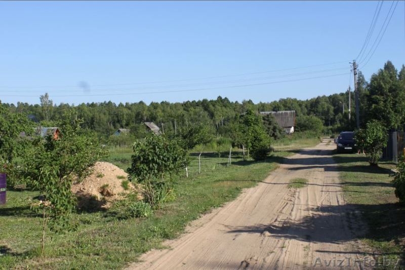 Участки в садовом товариществе рядом с Жодино и М1 - Изображение #5, Объявление #1476637