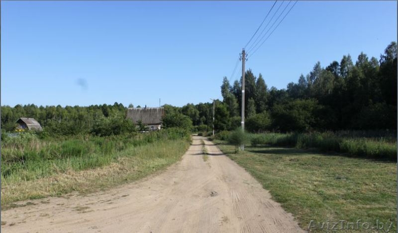 Участки в садовом товариществе рядом с Жодино и М1 - Изображение #7, Объявление #1476637