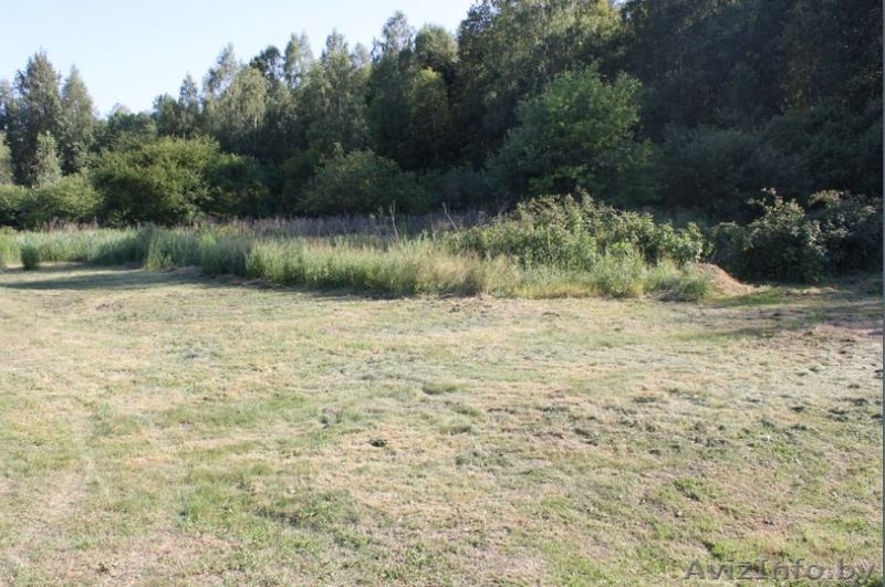 Участки в садовом товариществе рядом с Жодино и М1 - Изображение #8, Объявление #1476637