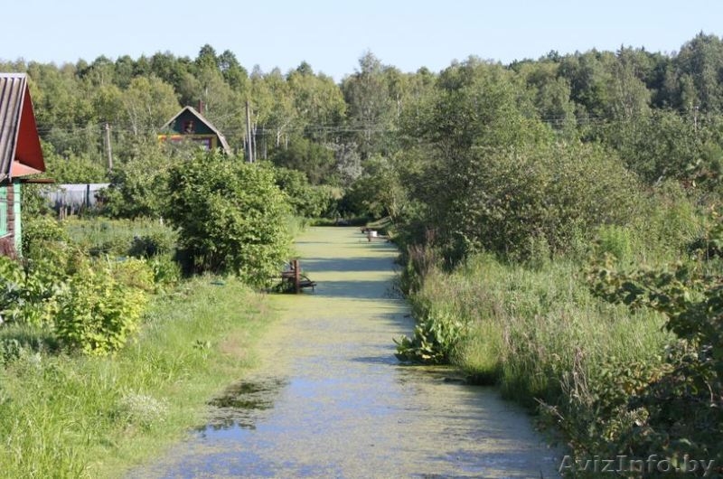 Участки в садовом товариществе рядом с Жодино и М1 - Изображение #9, Объявление #1476637