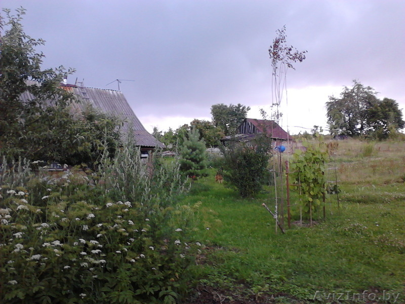 Дом и 25 соток рядом с Минском, гараж, деревья, кусты - Изображение #3, Объявление #1480833