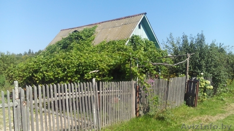 Дача с участком в д. Шилино Борисовского р-на - Изображение #3, Объявление #1483478