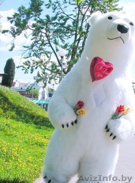 Большие Медведи Панда на свадьбу день рождения юбилей встречу гостей выпускной  - Изображение #5, Объявление #1473276