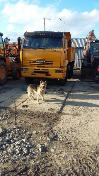 Грузоперевозки самосвал 20т. - Изображение #1, Объявление #1481807