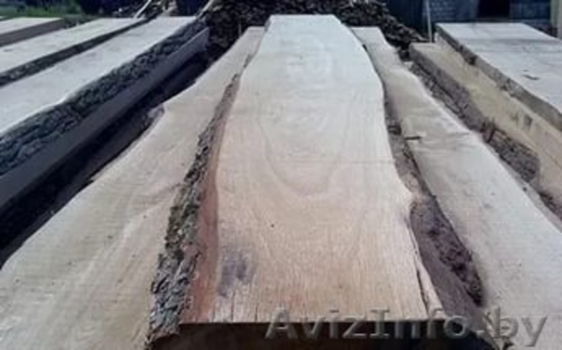 Доска необрезная от производителя любых размеров - Изображение #2, Объявление #1483773