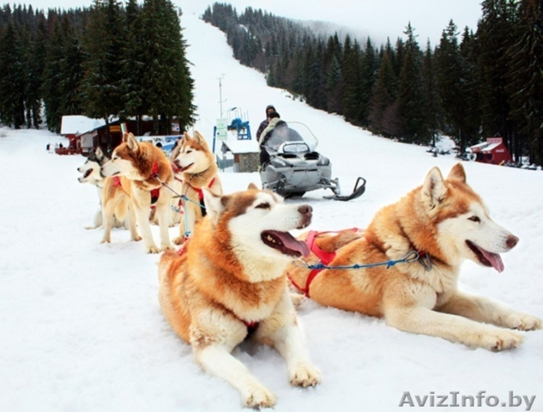 Тур в Буковель на Рождество 2018 - Изображение #9, Объявление #1486491