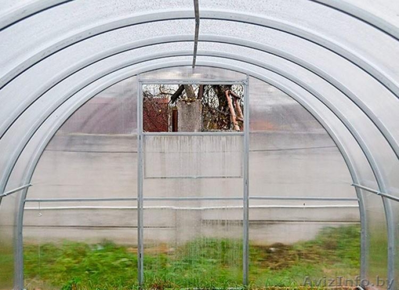 Теплица Урожай ПК. Распродажа. Акция - Изображение #3, Объявление #1503203