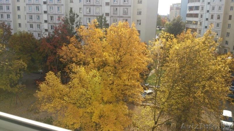 сдается чистая  аккуратная 1-комн.квартира на длительный срок - Изображение #9, Объявление #1495296