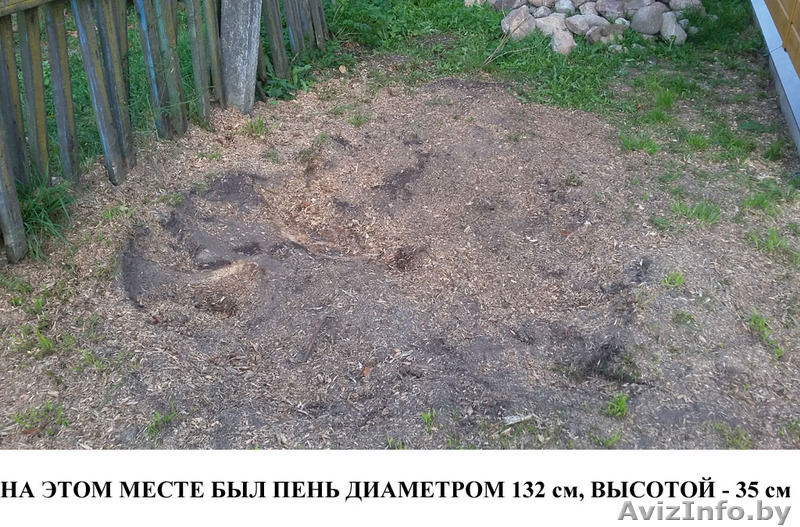 Удаление пней, измельчение, корчевание пней - Изображение #3, Объявление #1510046