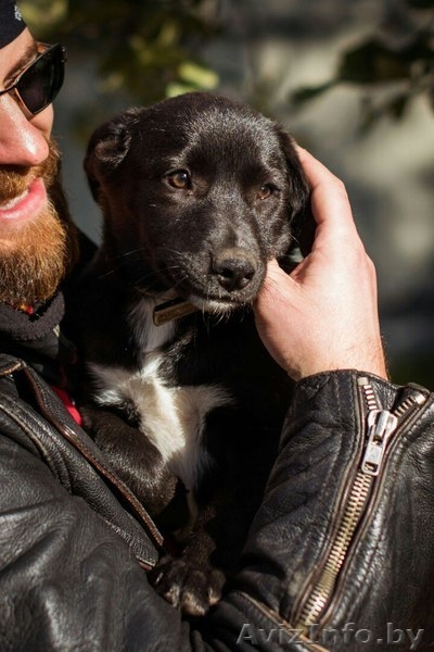 Забавная Мерседес в любящие руки - Изображение #3, Объявление #1505214