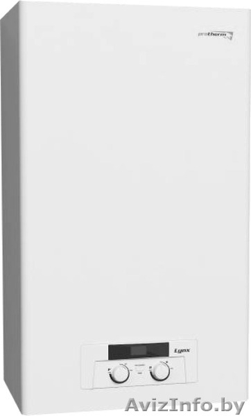 Газовый двухконтурный котел Protherm Lynx (Рысь) НК 28 - Изображение #1, Объявление #1510564