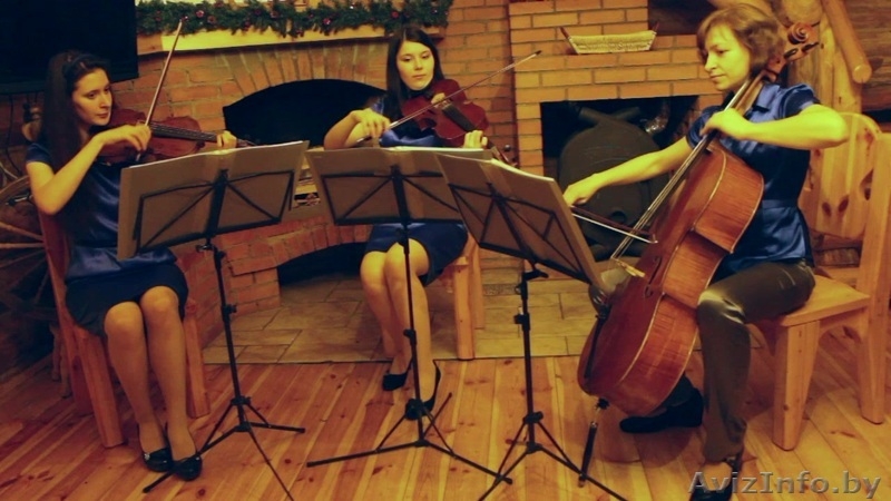 Струнный квартет, трио, дуэт. Музыка для праздника. - Изображение #1, Объявление #1284648