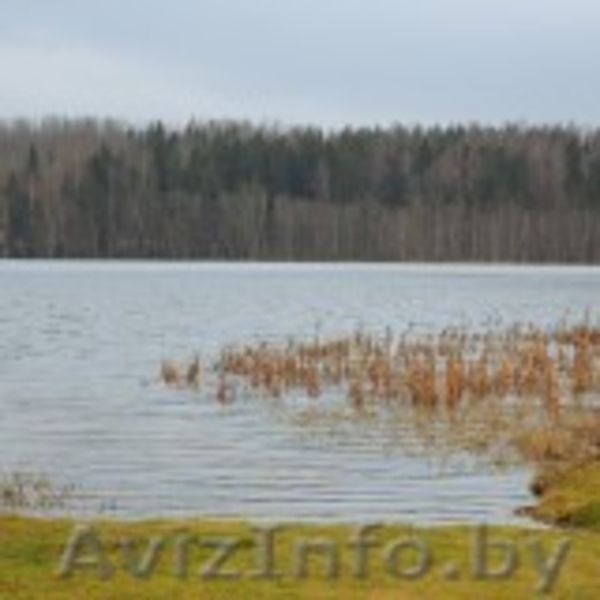 загородный дом на новогодние праздники  - Изображение #6, Объявление #1515038