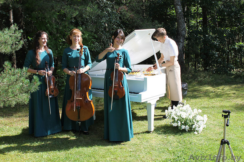 Струнный квартет, трио, дуэт. Музыка для праздника. - Изображение #2, Объявление #1284648