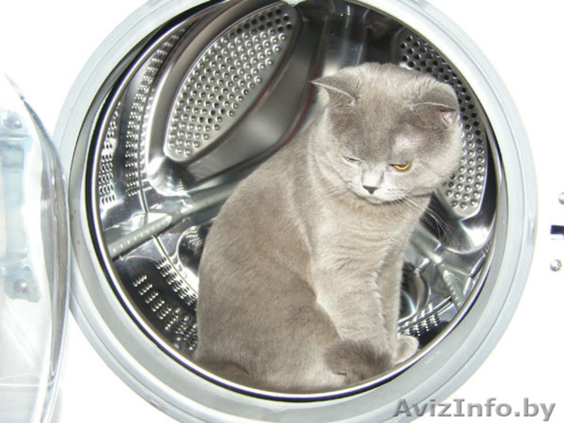 Барабан стиральной машины Electrolux - Изображение #1, Объявление #1524003