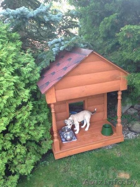 ЩЕНОК В ДАР - Изображение #3, Объявление #1527256