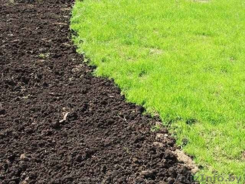 Растительный грунт по актуальным ценам для Вас - Изображение #1, Объявление #1529033