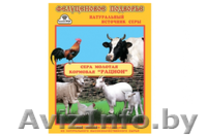 Ракушка морская подкормка кур, голубей и с/х птицы, кг. - Изображение #2, Объявление #1526431