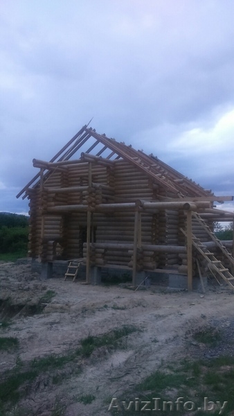 Срубы для дома ,бани ,беседки из кругляка ручной обработки - Изображение #5, Объявление #1526424
