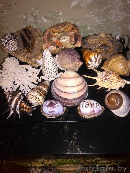 Изготовление, ремонт аквариумов, террариумов и стеклоизделий по низким ценам - Изображение #2, Объявление #1530679