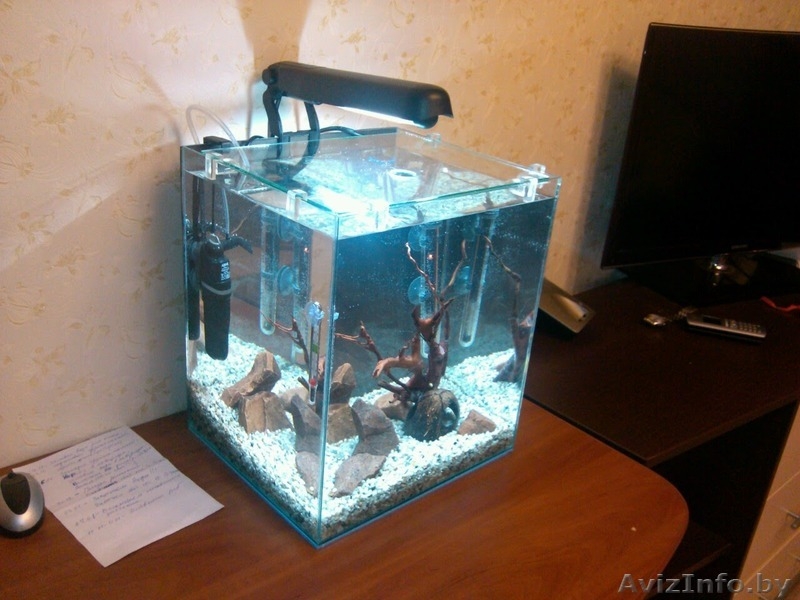 Изготовление, ремонт аквариумов, террариумов и стеклоизделий по низким ценам - Изображение #3, Объявление #1530679