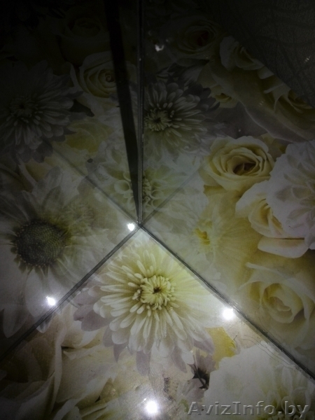 Изготовление, ремонт аквариумов, террариумов и стеклоизделий по низким ценам - Изображение #6, Объявление #1530679