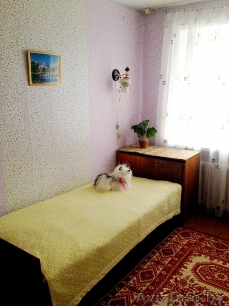 Квартира с приусадебным участком в 15 километрах от города. - Изображение #4, Объявление #1535654