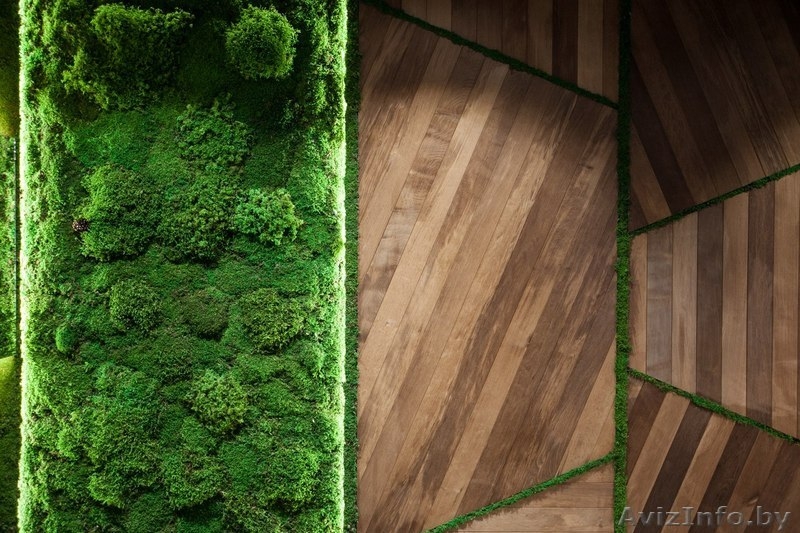 Паркетная доска из массива Граба и Ясеня - Изображение #6, Объявление #1538617