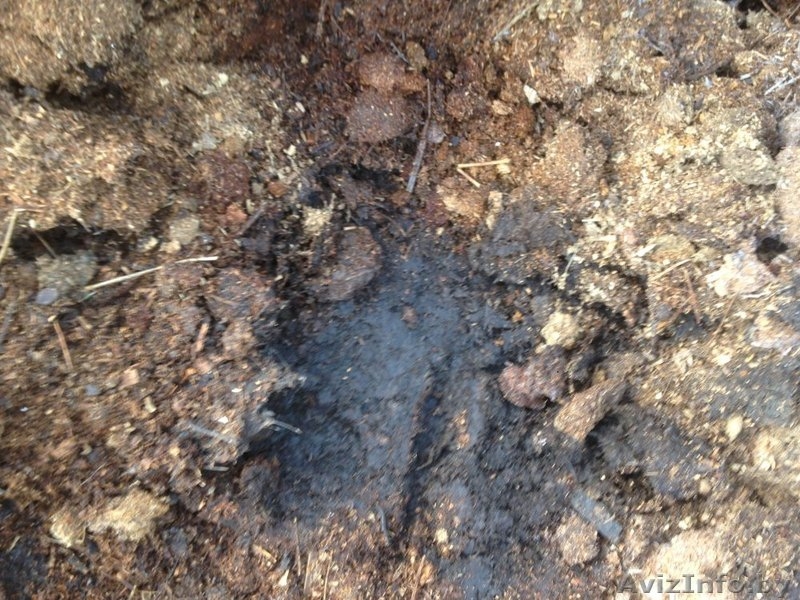 Конский навоз фасованный в пакеты - Изображение #3, Объявление #1537168